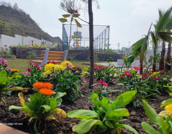 WhatsApp Image 2026-01-29 at 17.52.26 (1)